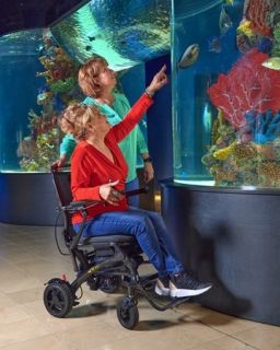 Cricket powerchair with duo